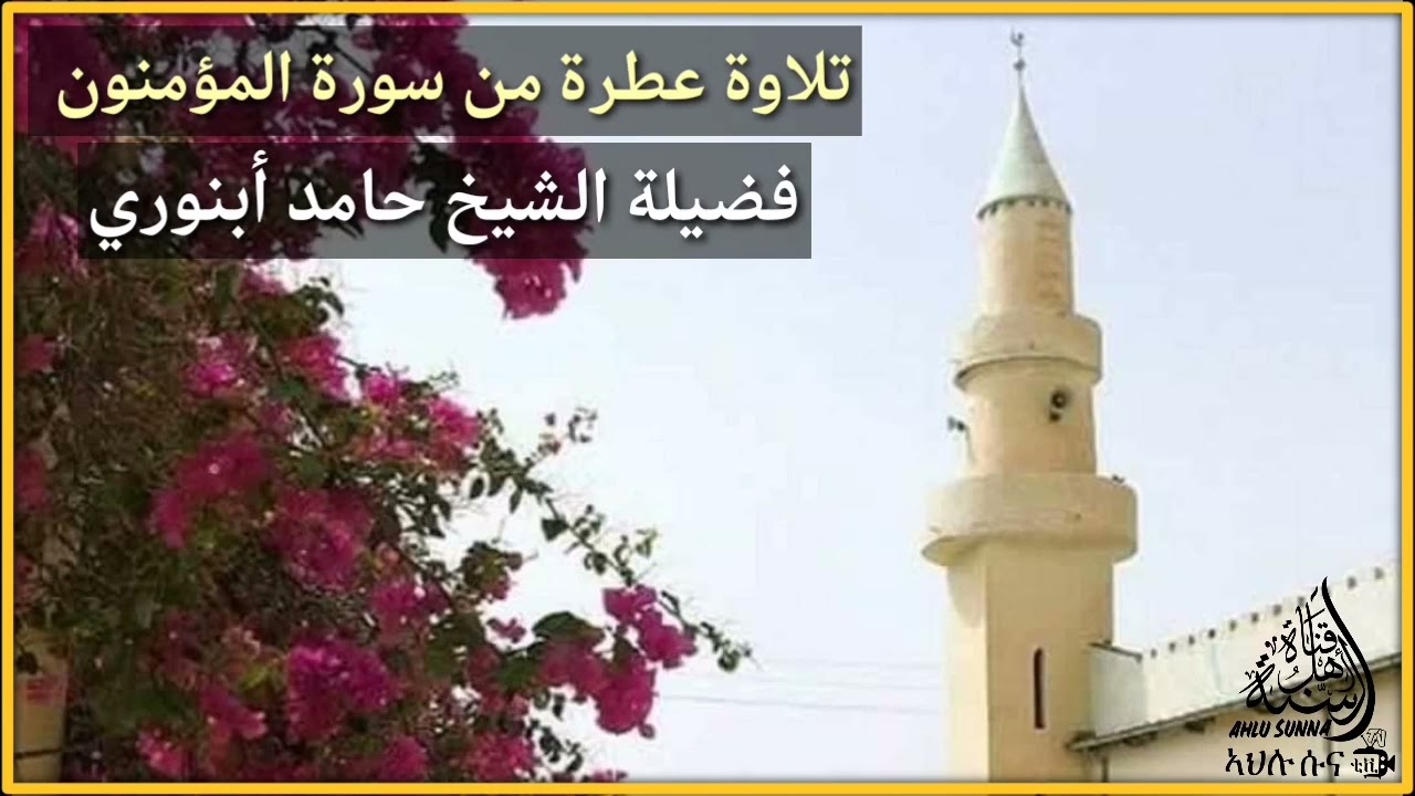 تلاوة عطرة من سورة المؤمنون || فضيلة الشيخ حامد أبنوري حفظه الله