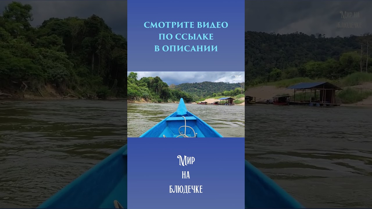 Самый древний лес на Земле - Таман Негара! Смотрите длинное видео по ссылке в описании  #tamannegara