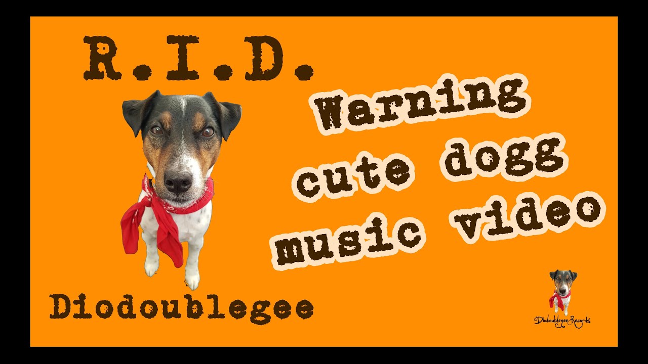 R.I.D. - Diodoublegee official music video