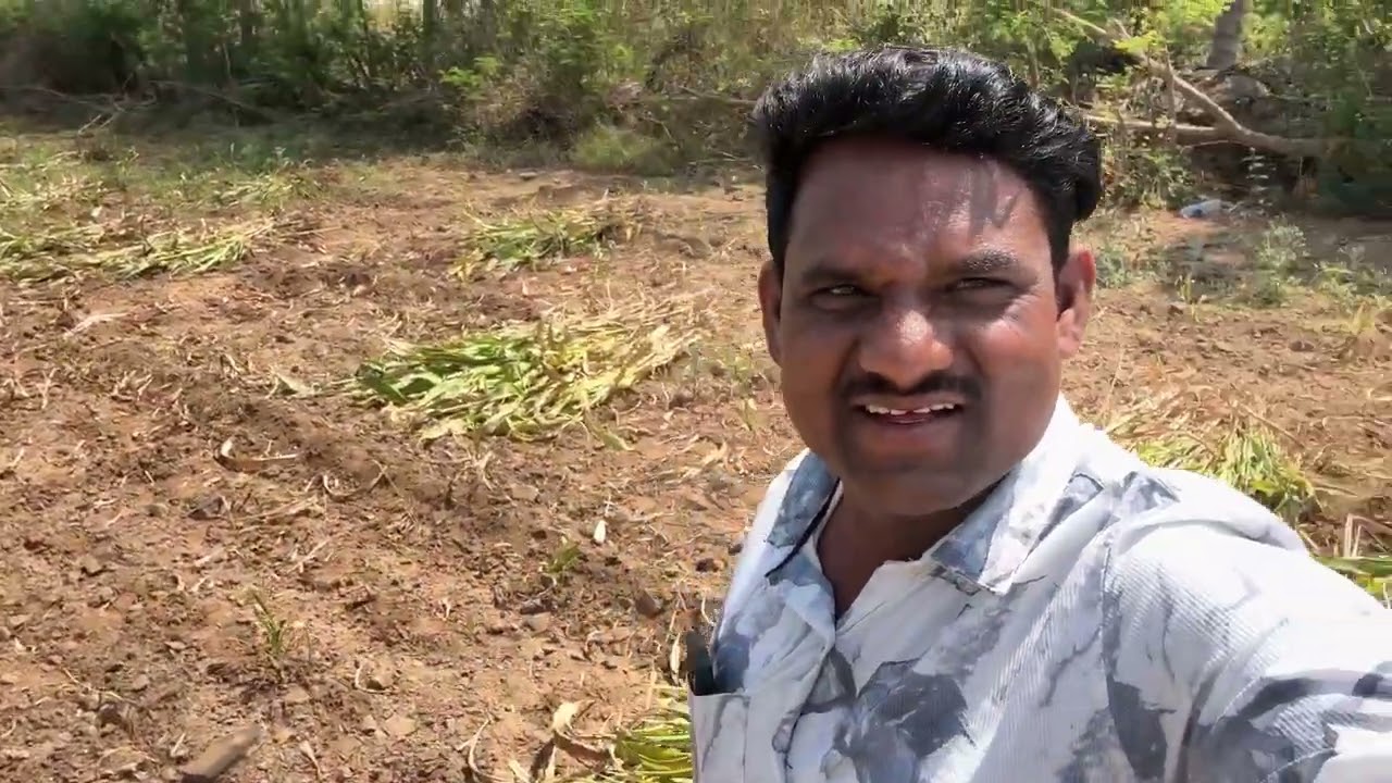 बायकोला काम करायला नको पूजीच्या नादाने बाद झाली बायका लावल्या ज्वारी काढायला 😭#गावठीनिलेशपुनम 