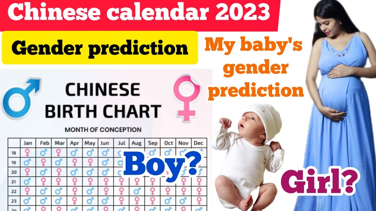 Chinese calendar baby gender prediction 2023👶 l Baby Gender prediction for fun l boy girl symptoms