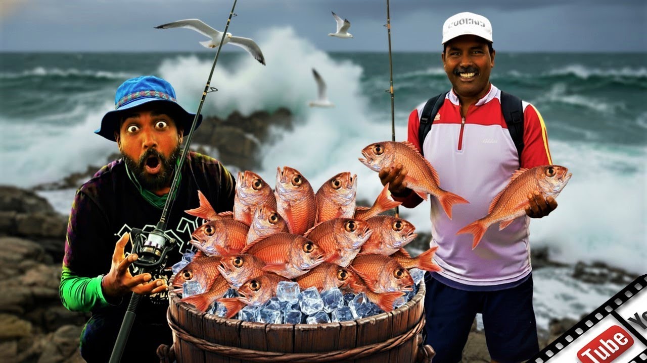 යමං බාන්ඩ කුරුවිලියන් | Catching Blubber lip Snapper | පෙනහැටි ඇමේ | @wishwatiyubaya 👣😲🎣