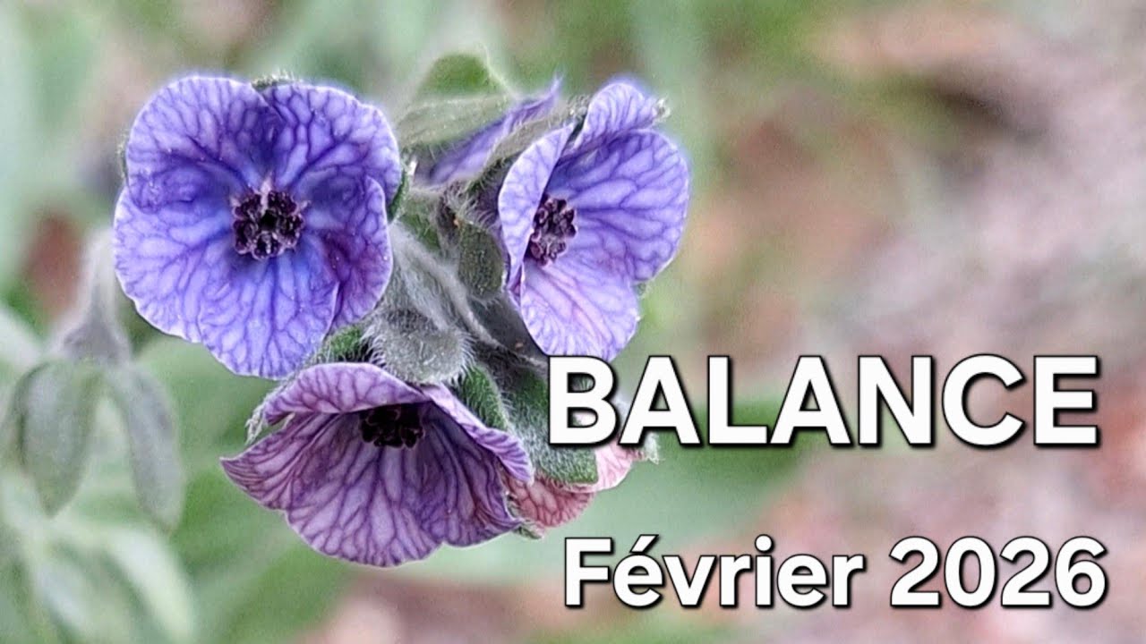 BALANCE ♎️ Énergies février 2026 