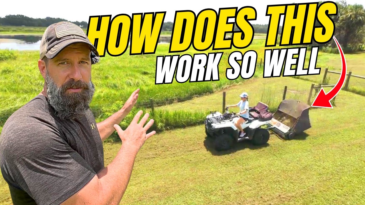 Lawn Sweeper & Gorilla Cart (3-Yr Review) | Time Saving Must-Haves