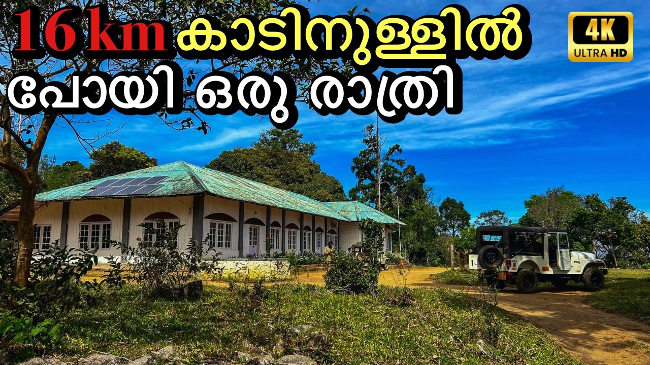 Forest Stay 16 km Inside The Forest  | Misty Valley Nelliyampathy | 4K UHD