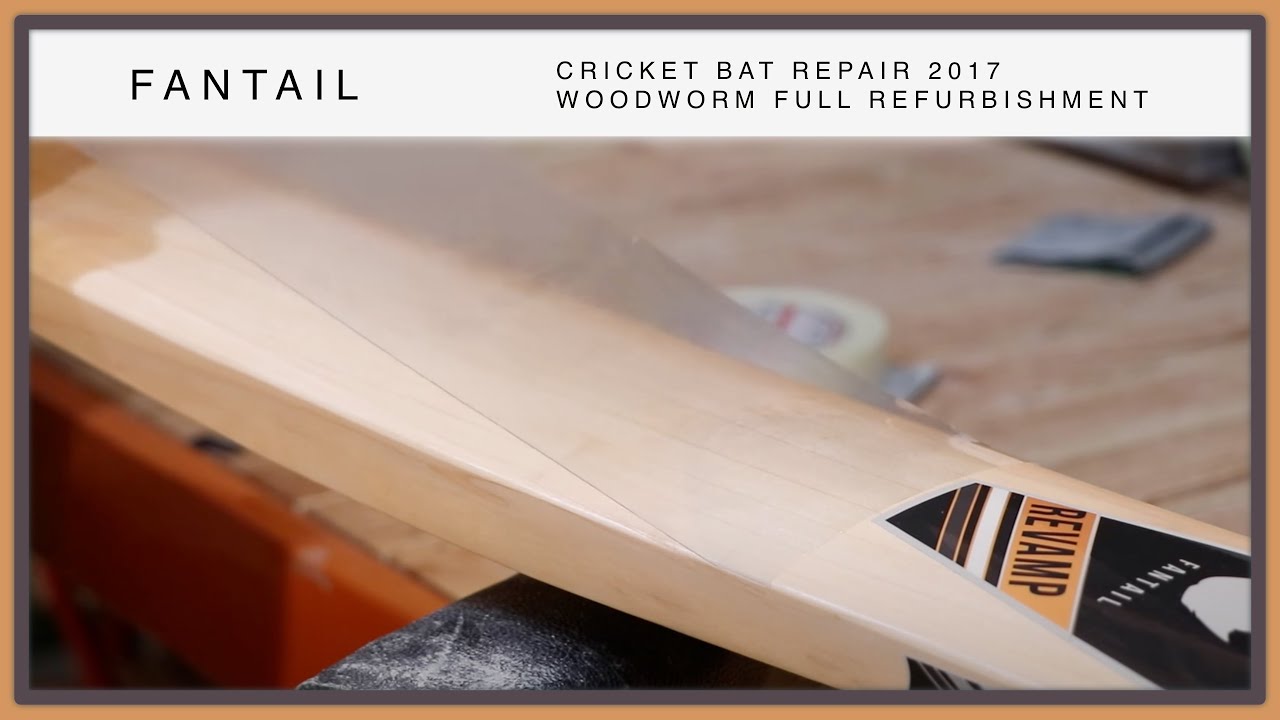 Cricket Bat Repair 2017 - Woodworm Full Refurbishment