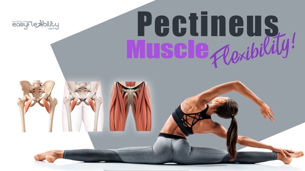 Adductors Tightness FIXED!