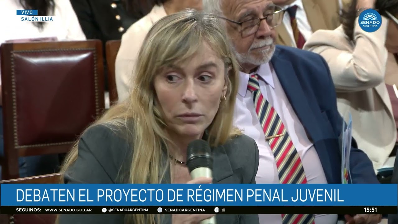 SENADORA JULIANA DI TULLIO - PLENARIO DE JUSTICIA Y PRESUPUESTO 19-02-26