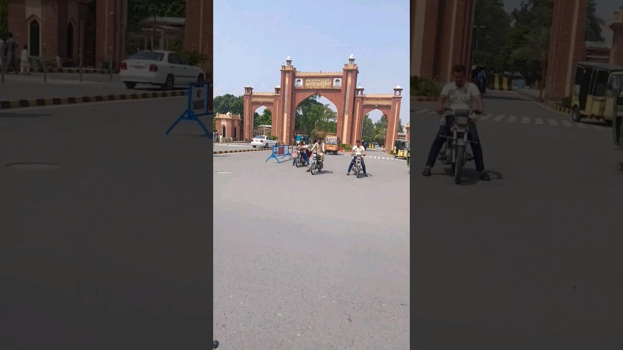 A day at UAF ❤️#agriculture #university #uaf #faisalabad  #pakistan #shorts #reels #foryou