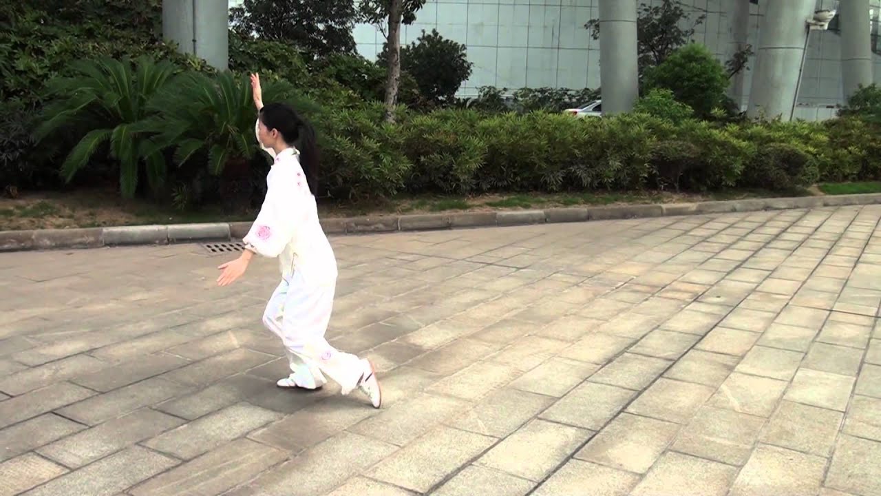 Yang Tai Chi 42 Form