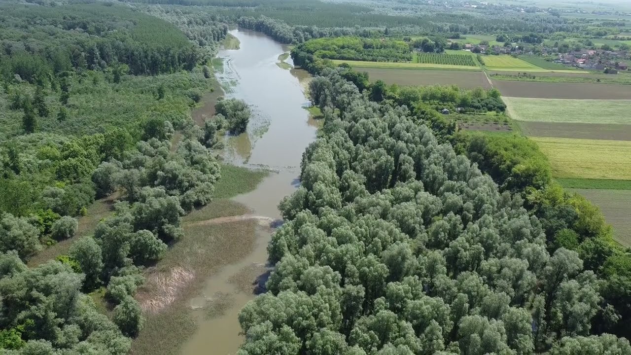 Poplavno područje (uzgajali&scaron;te komaraca) u Sarva&scaron; - 22.05.2023