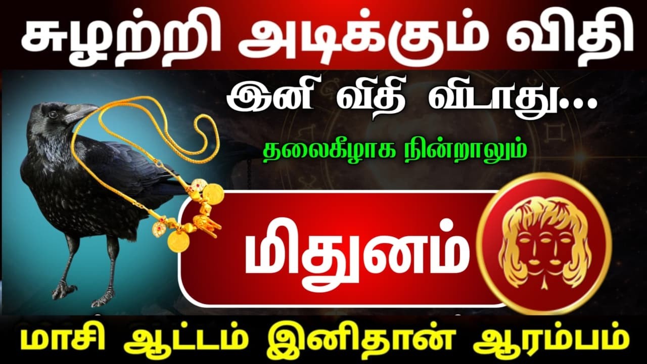 மாசி மாத ஆட்டம் இனிமேல் தான் ஆரம்பம் சுழற்றி அடிக்கும் விதி மிதுனராசிக்கு ! mithunam maasi palan !