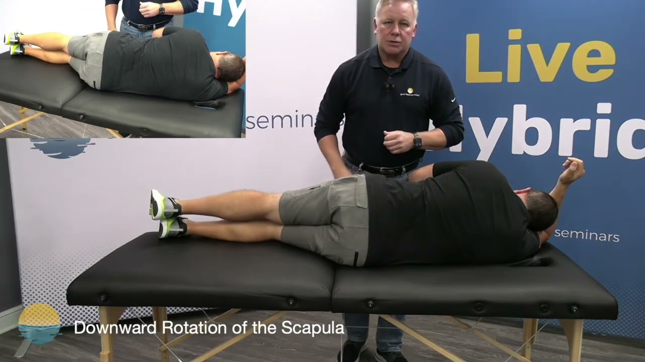 Downward Rotation of Scapula