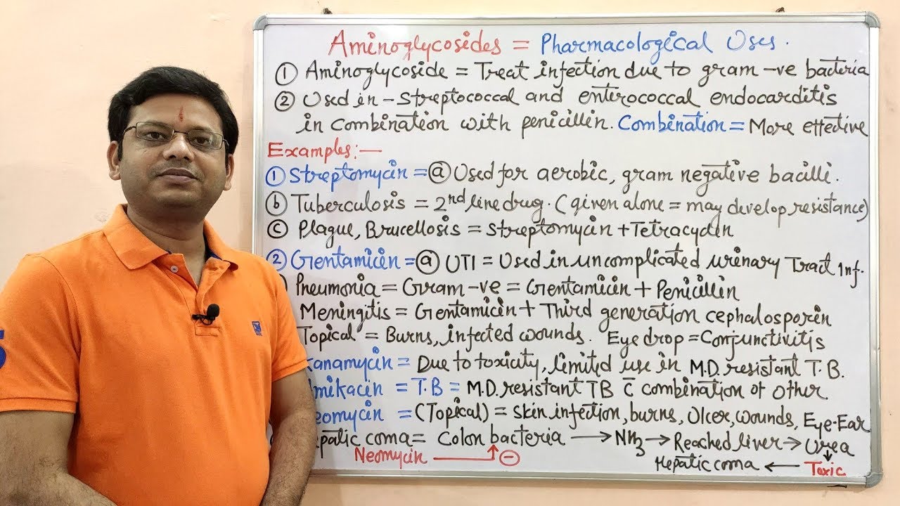 Chemotherapy of Antibiotics (Part-21Final) Aminoglycoside (03) = Uses of Aminoglycoside | Antibiotic