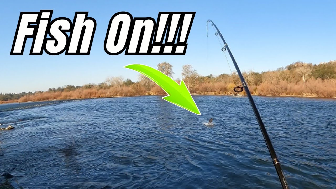 First Time Fishing For Steelhead & This Is What Happened