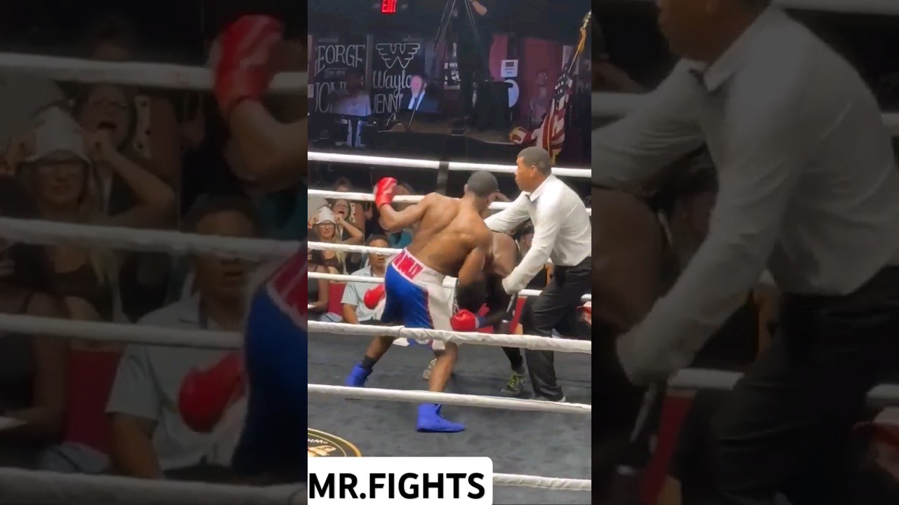 Elijah  Williams #boxing#boxeo#boxe#ko#punch#combo#fighter#fighting#brawl#sports#combatsports