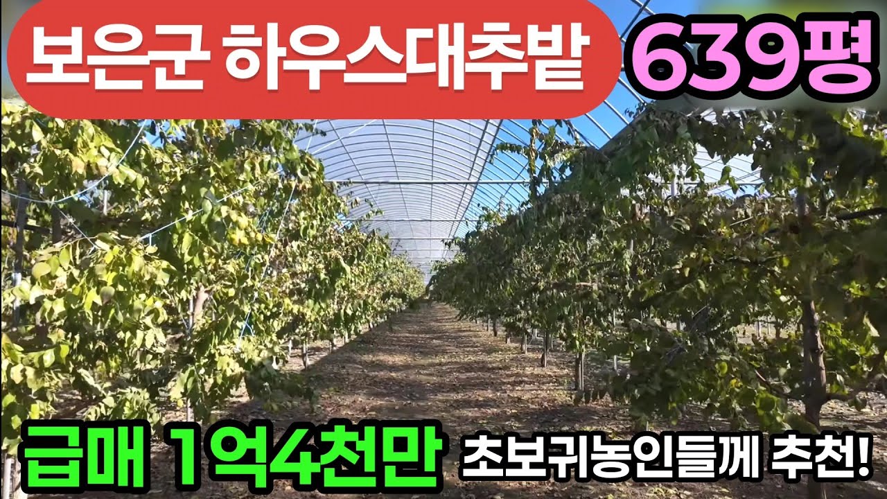 (742번)보은하우스대추밭 639평 1억4천만원 #보은부동산 #충북보은토지 #보은대추밭매매