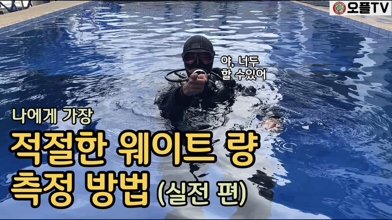 [스쿠버다이빙] 적정 웨이트량 설정하기 실전편