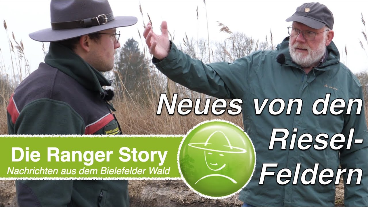 Neues von den Riesel-Feldern