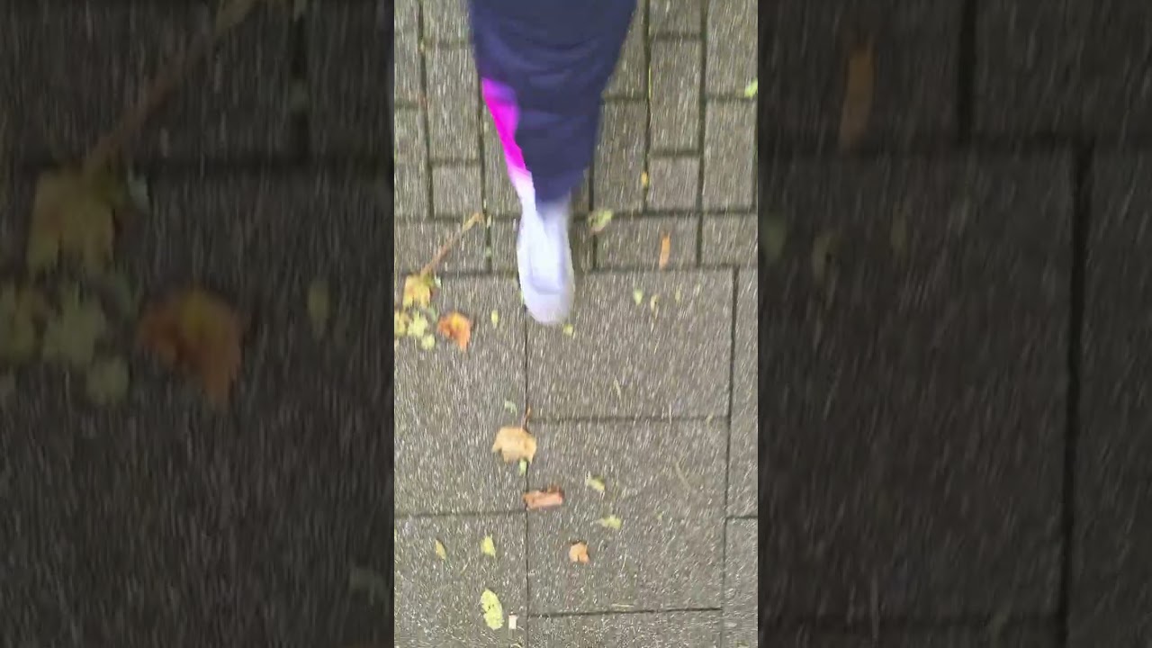Pr&auml;senz angesagt-/Steeler Stra&szlig;e!