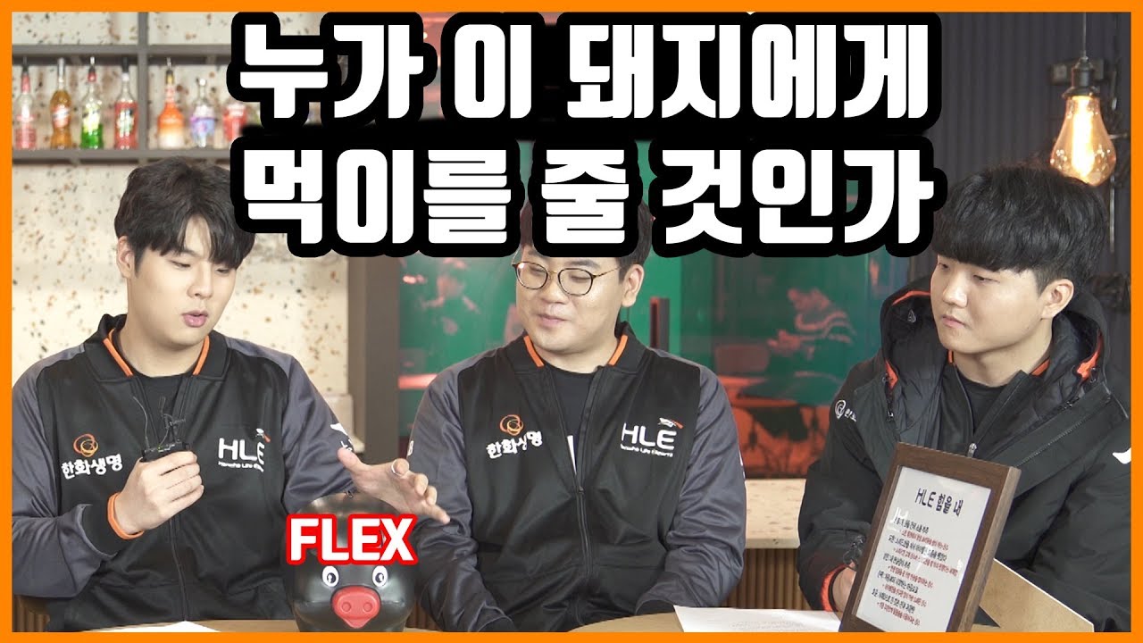 새로운 가족 조공돼지를 소개합니다! [HLE]