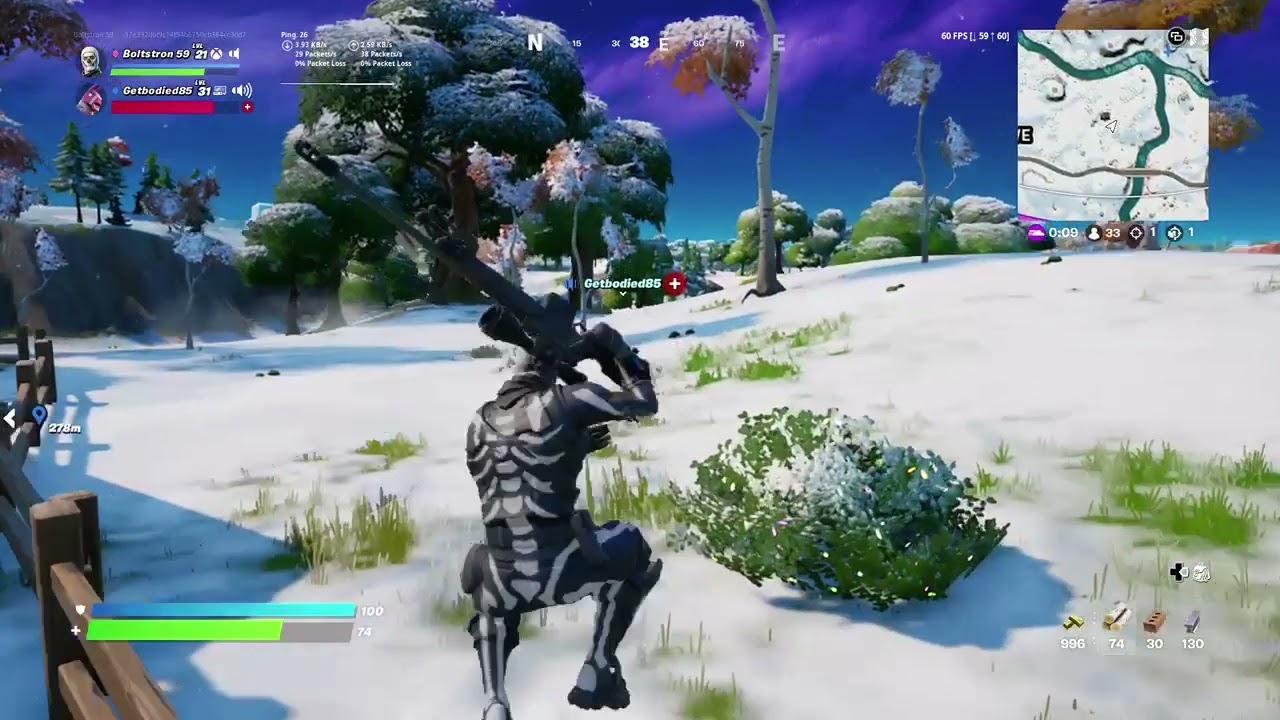 bush snipe
