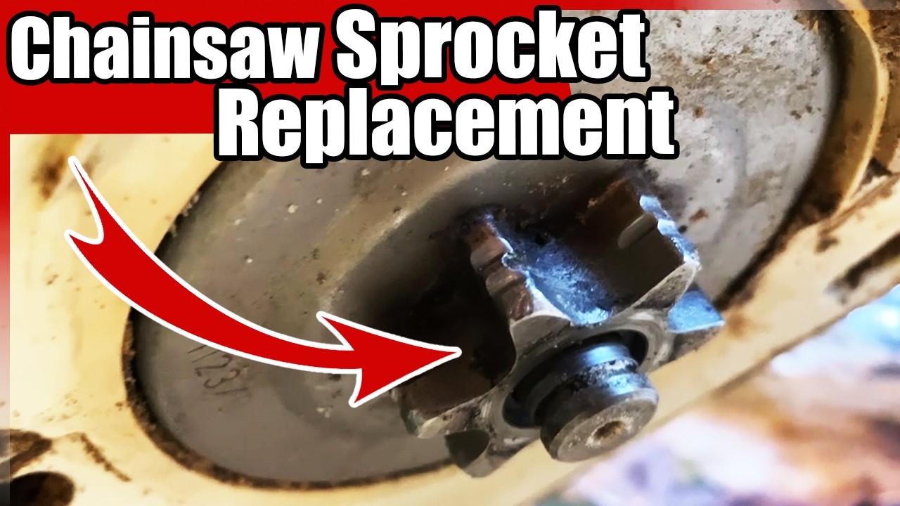 Stihl MS 231 Chainsaw Sprocket Swap: First-Timer Fail or Win