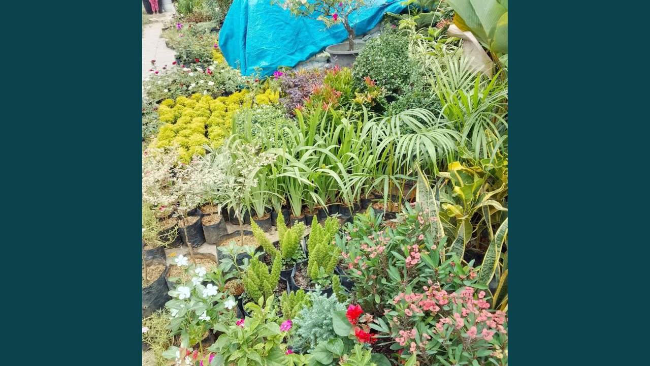 Keluarga Harmonis Impian Kita