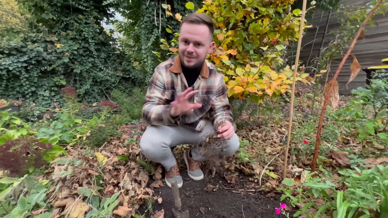 Planter les bulbes du printemps!