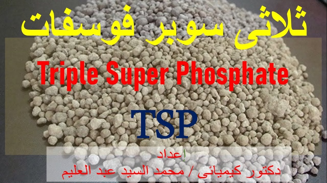 معادلة تحضير ثلاثى سوبر فوسفات Triple Super Phosphate (TSP)