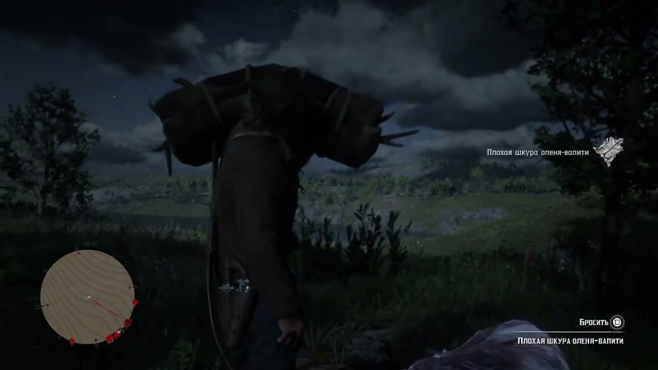 Red Dead Redemption 2 экспедиция за картой 5