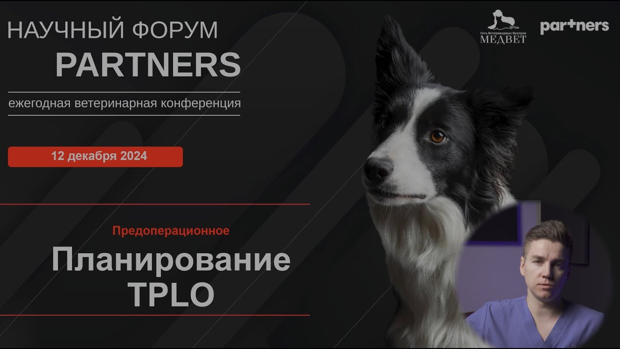 Планирование TPLO / TPLO Planning