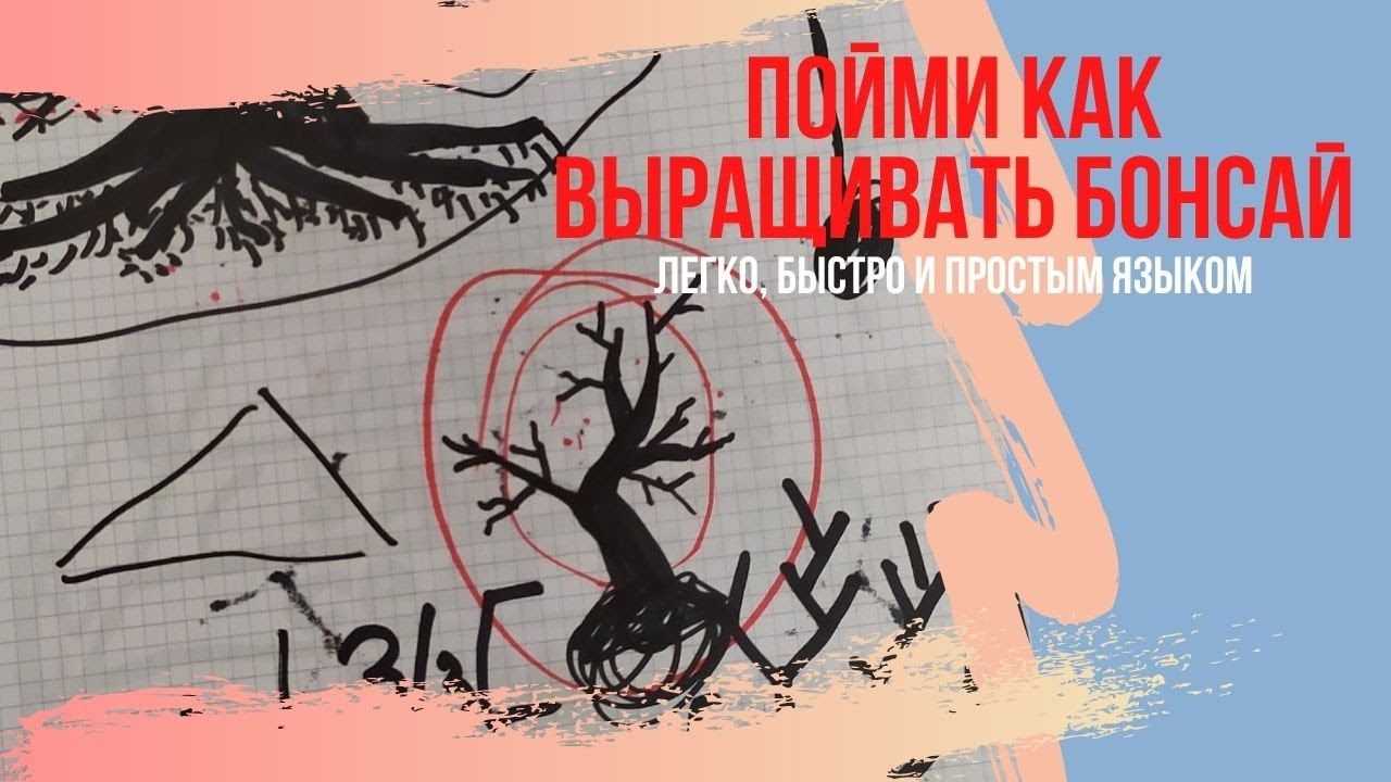 Как вырастить бонсай? Пошаговая инструкция по выращиванию бонсай! How to make bonsai