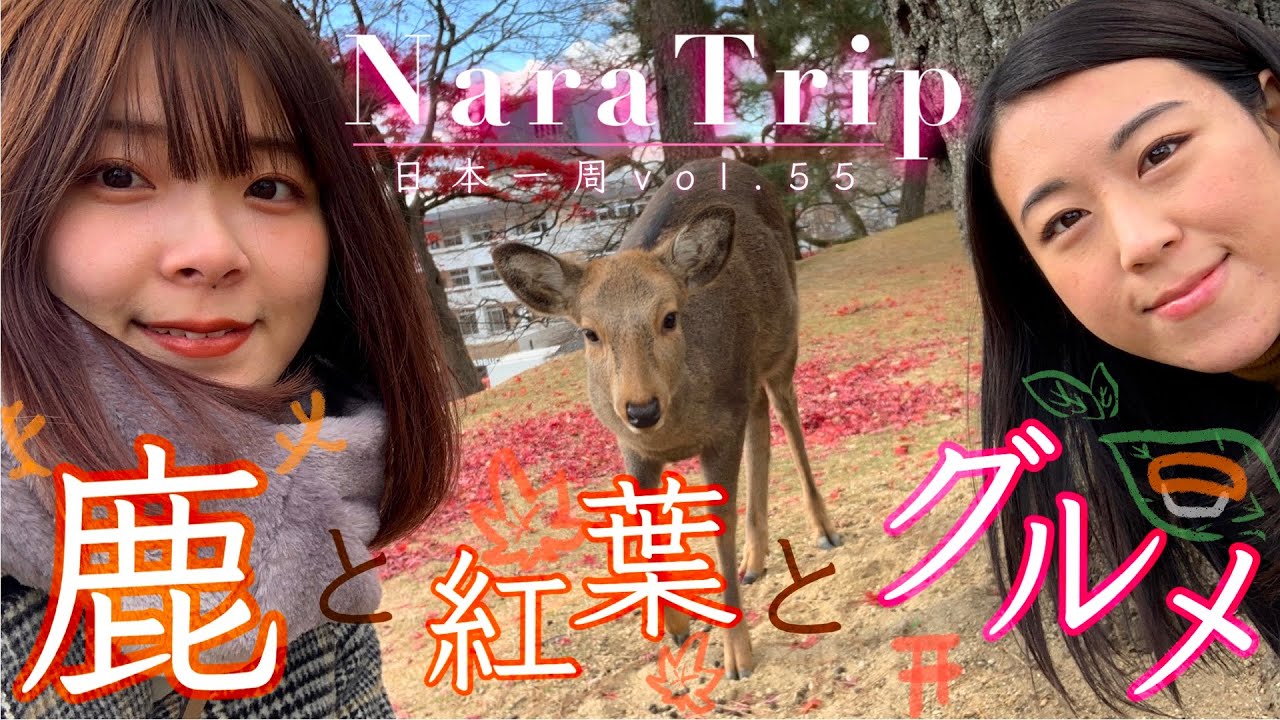 【奈良県】姉妹で奈良観光グルメ旅♪妹が鹿に追い回されて・・・【日本一周#55 】奈良公園 | 柿の葉寿司 | よもぎ餅 | Naratrip | Japantrip