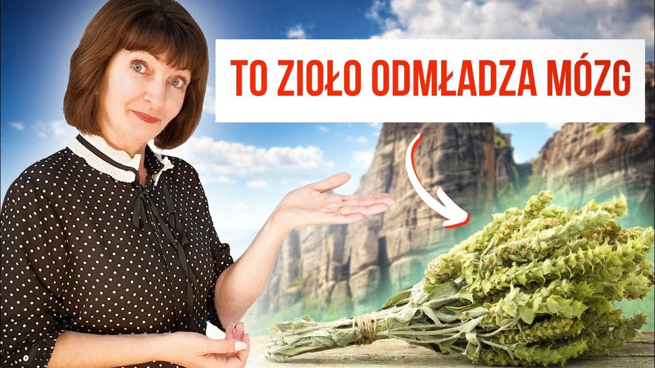 🍀 Herbata G&oacute;rska - ODMŁADZAJĄCA MOZG zapobiega demencji i Alzheimera. GOJNIK, szałwia libańska