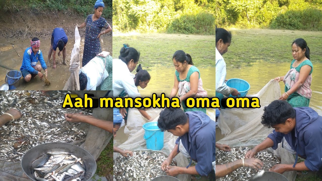 Village style Fish catching 🐟😍||@bibhadb192