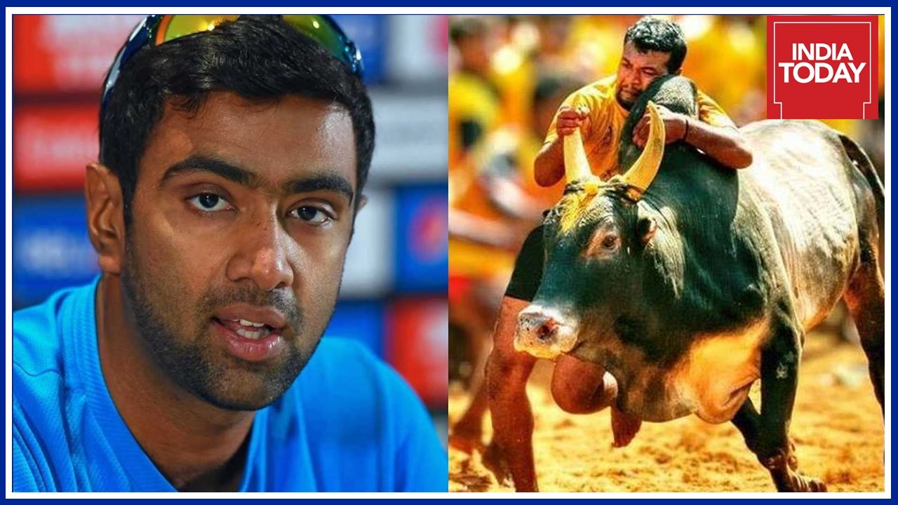 Ravichandran Ashwin Backs Pro Jallikattu Protests Across Tamil Nadu