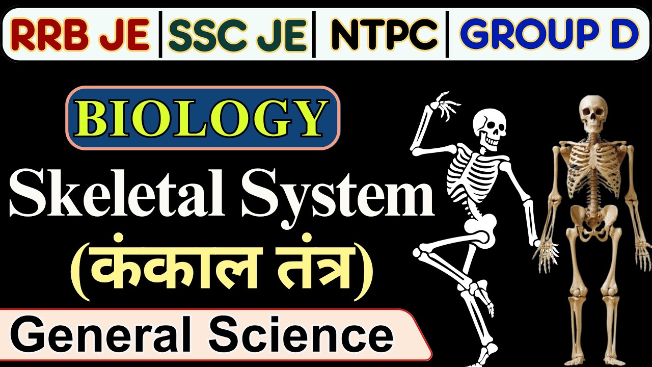 Skeletal System (कंकाल तंत्र)   | Biology  | SSC & RRB Exams  | CDG Educators | Neeraj Maurya