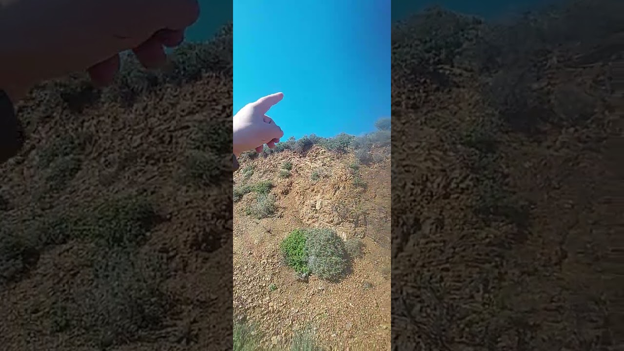 Kümesteki son durumlar ve gizemli su 😄
