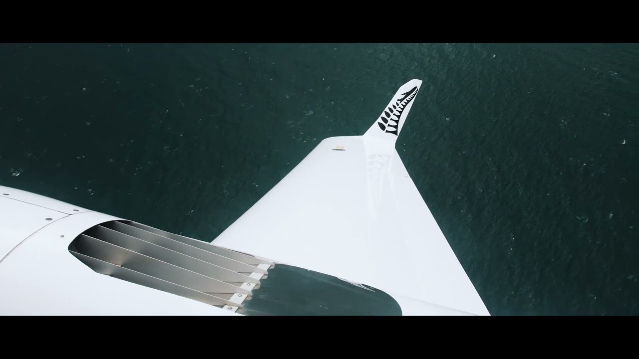 NZICPA taking flight