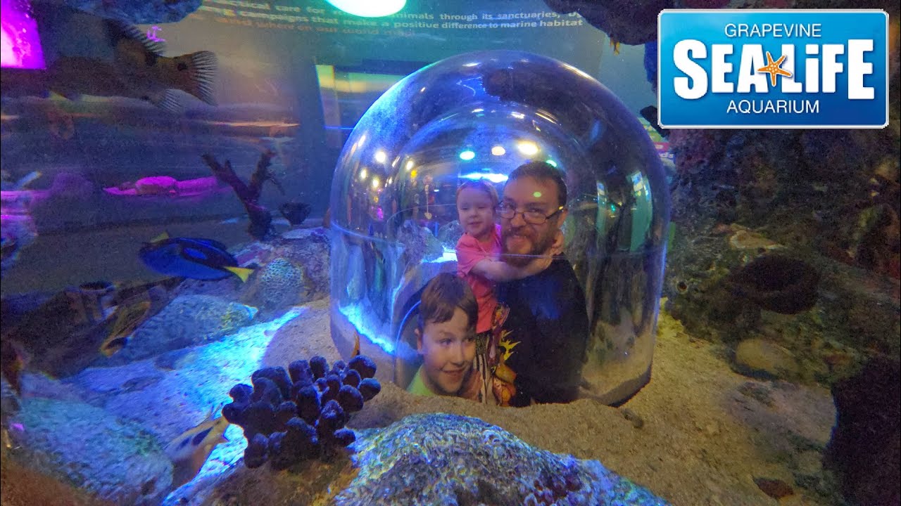 Sea Life at Grapevine Mills Mall