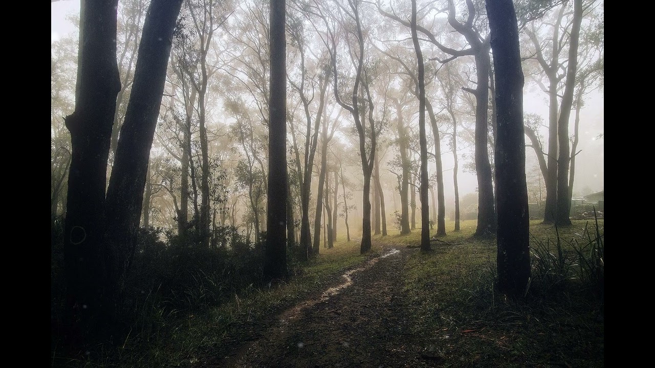Fall Asleep in Minutes - 1 Hour of Calming Fantasy Ambient Music for Anxiety Relief