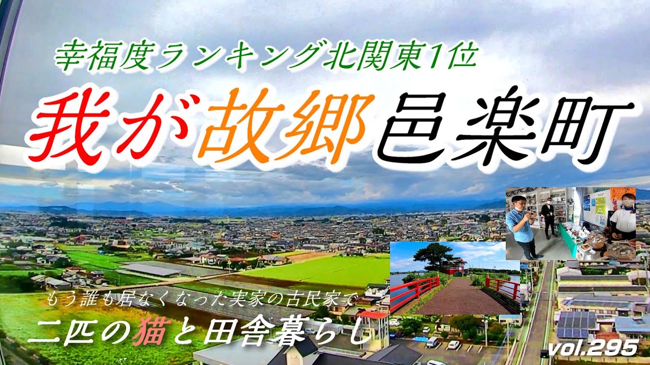 【フカセンvlog295】地元愛溢れる人々との交流／マオランの住民票は？／幸福度ランキング1位に輝いた我が故郷！／おんぼろ古民家で保護猫マオランと田舎一人暮らし。邑楽町。