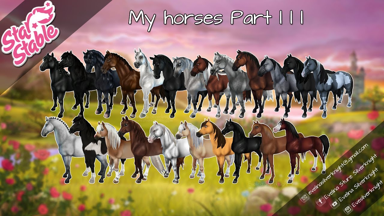 StarStable Online | My Horses Part Three