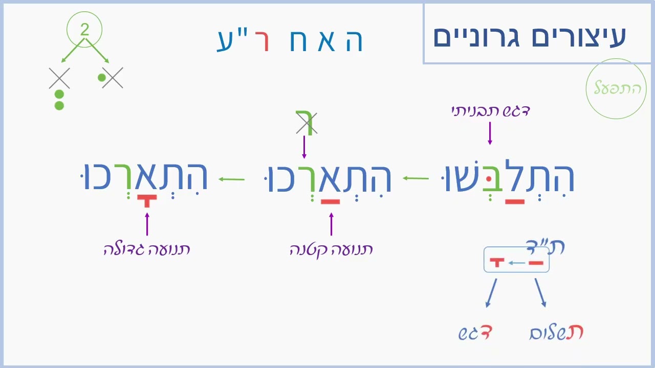 עיצורים גרוניים - תשלום דגש - לשוניסט
