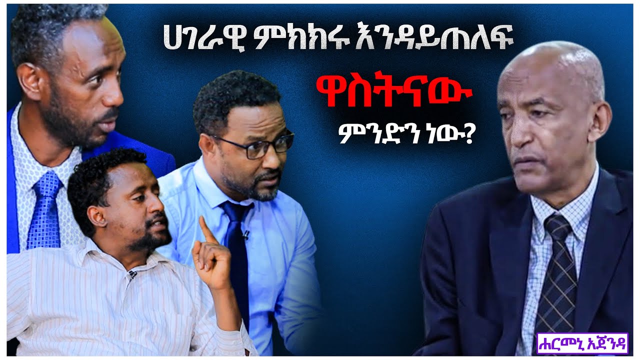ሀገራዊ ምክክሩ እንዳይጠለፍ ዋስትናው ምንድነው ?  -  ሐርመኒ አጀንዳ