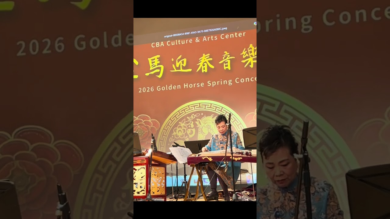 金马迎春-古筝表演
