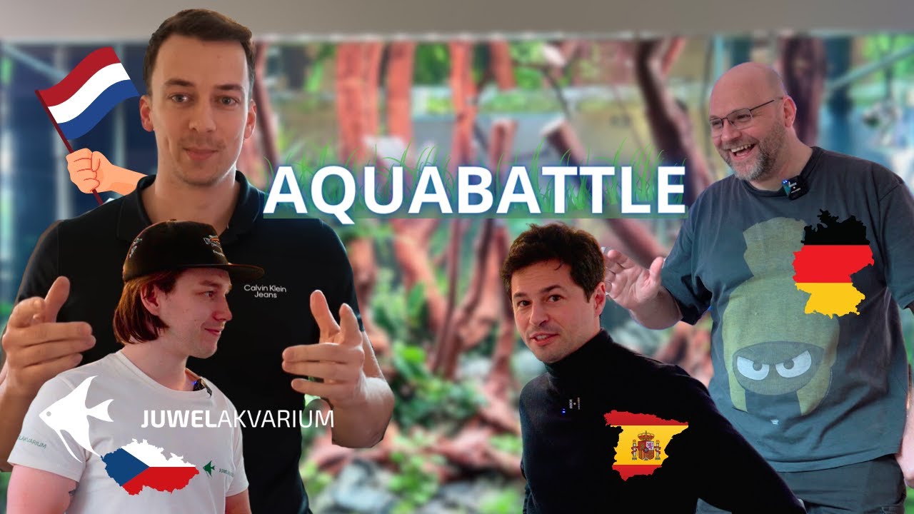 4 Realizace za jeden den od 4 profesionálů - Aquabattle