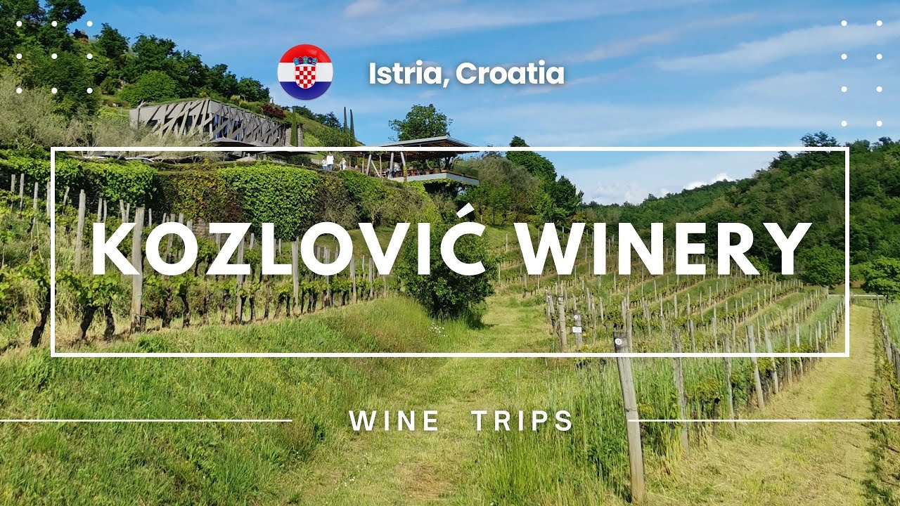 Kozlovic Winery, Istria - Croatia - Wine Trips