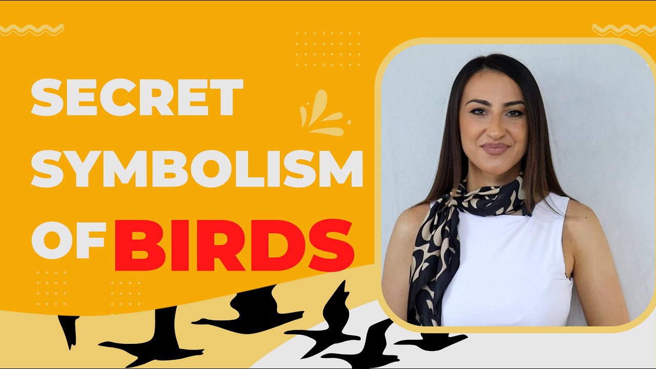 Secret Symbolism of Birds - Revealed In This Video!